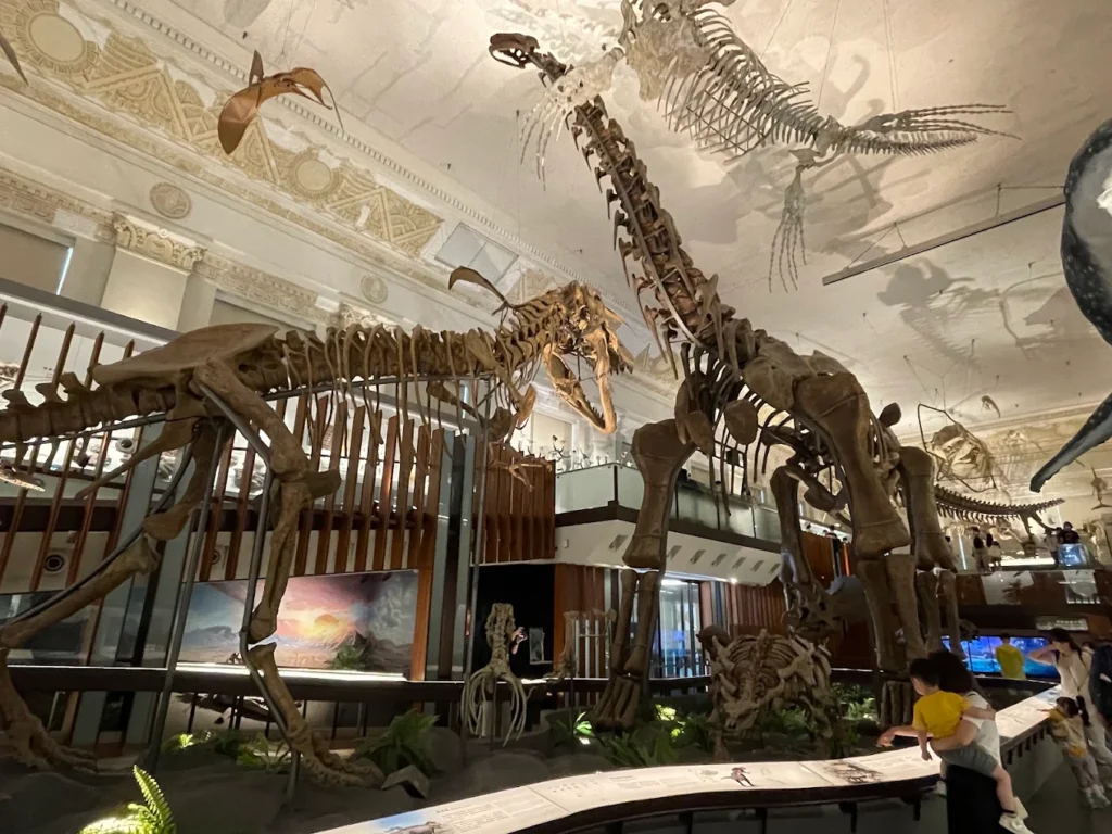 Large dinosaur skeletons inside the National Taiwan Museum in Taipei
